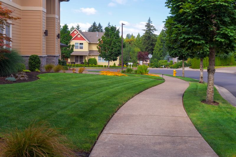 Sidewalk Construction in Douglas County, CO